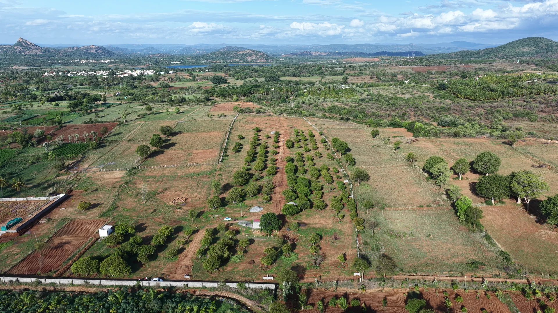 Madilu — the grove estate