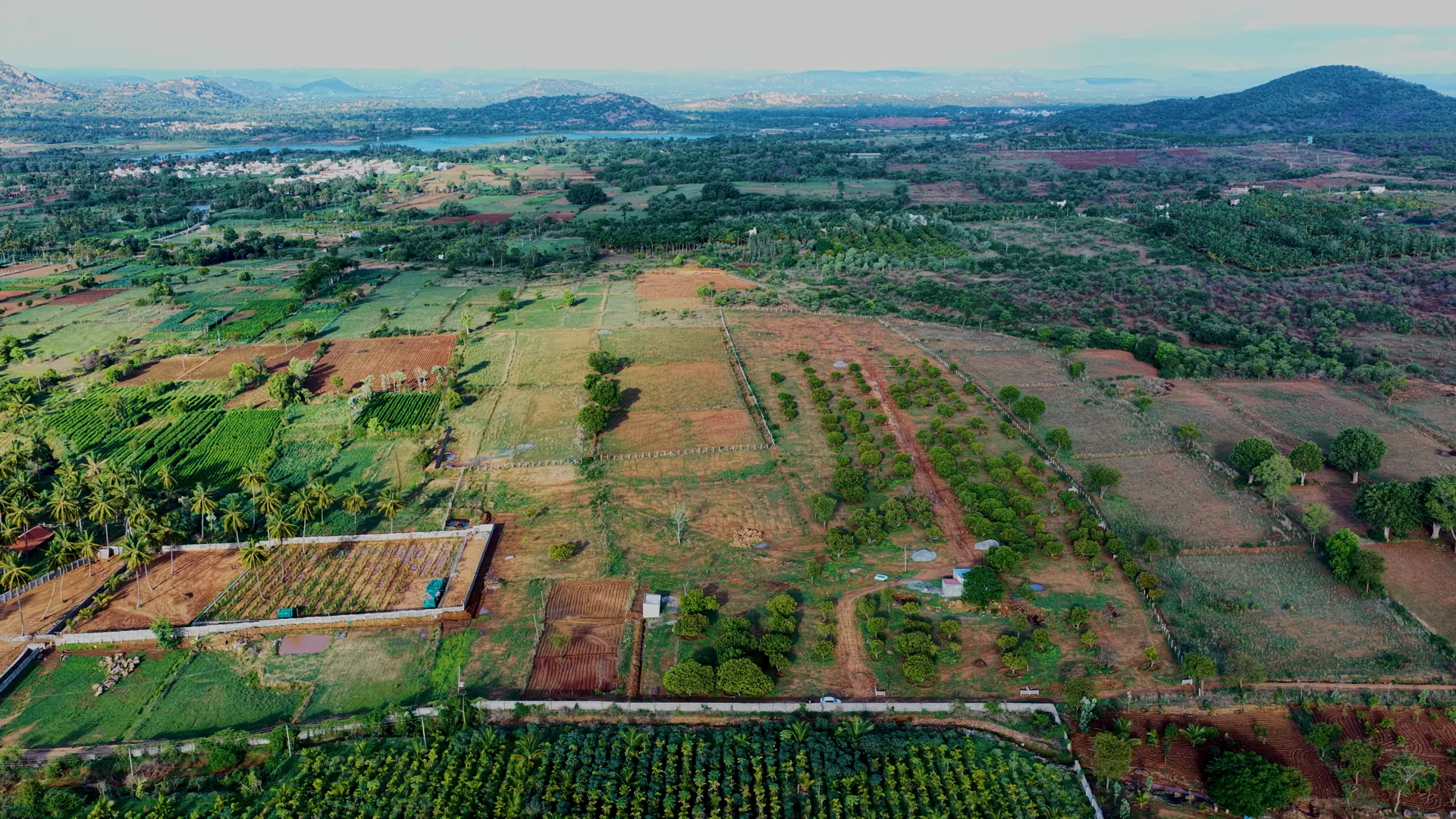 Madilu — the grove estate