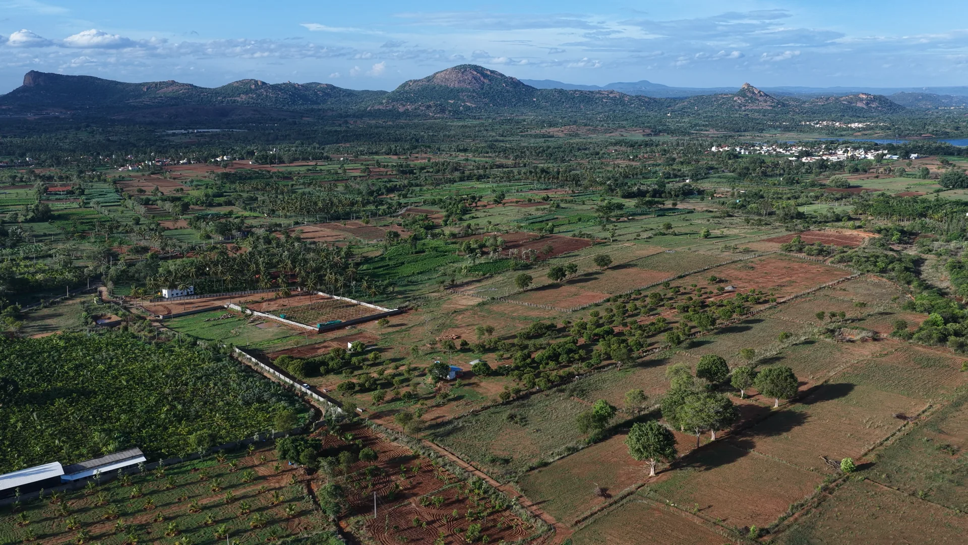 Madilu — the grove estate