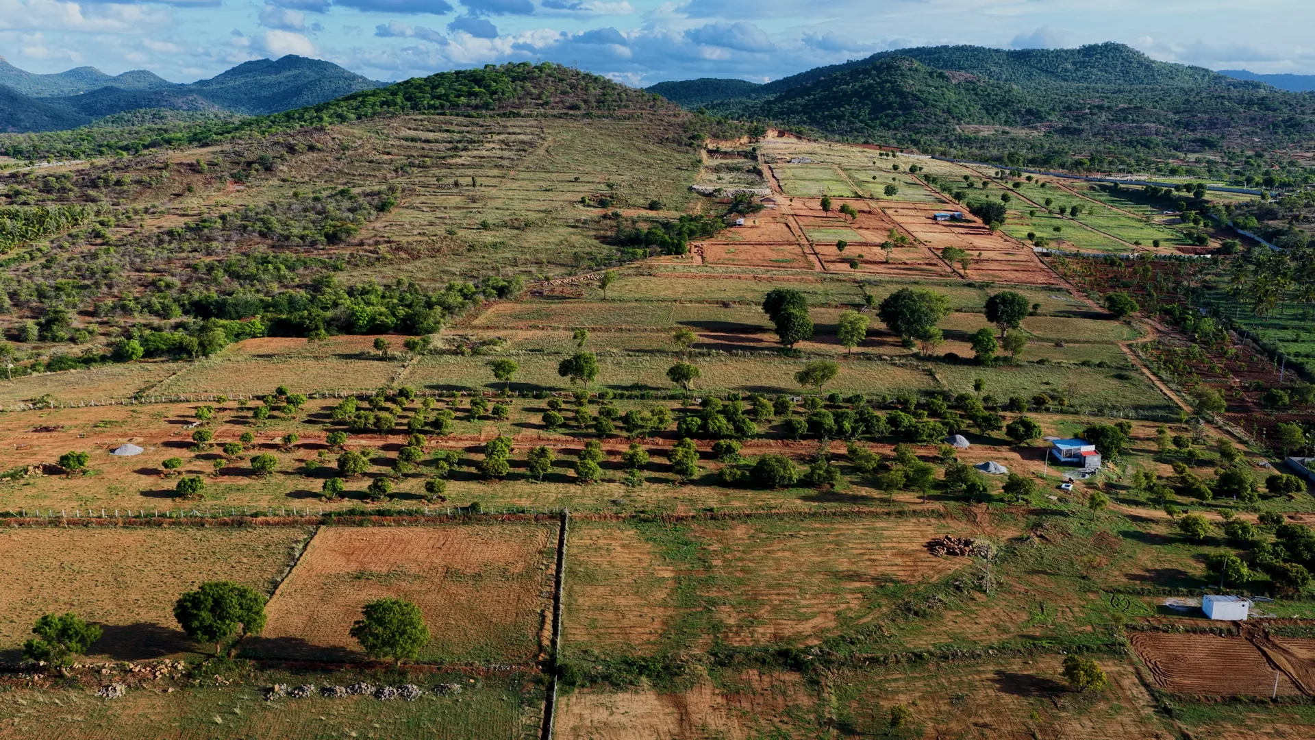 Madilu — the grove estate