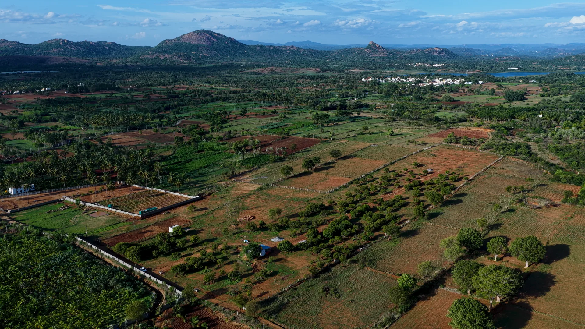 Madilu — the grove estate